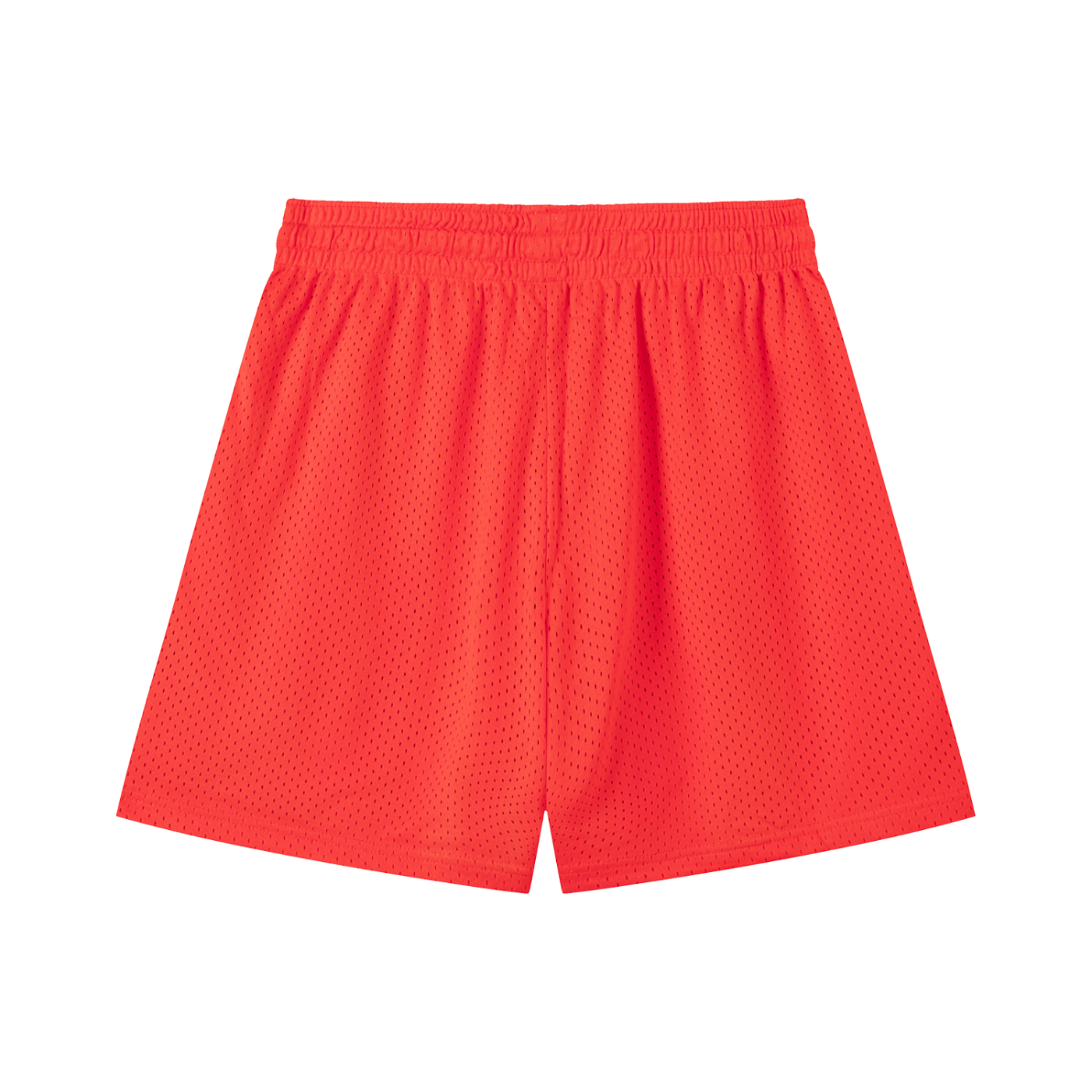 Lit Fitness Mesh Drawstring Shorts